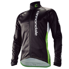 Quisque eget Quisque eget