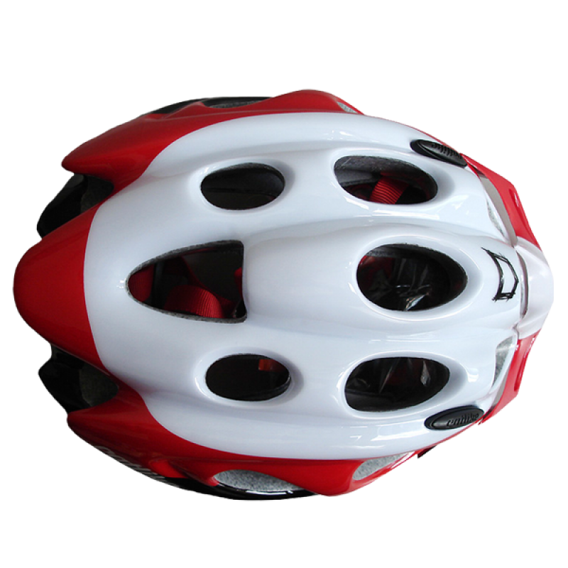 Phasellus vel scelerisque