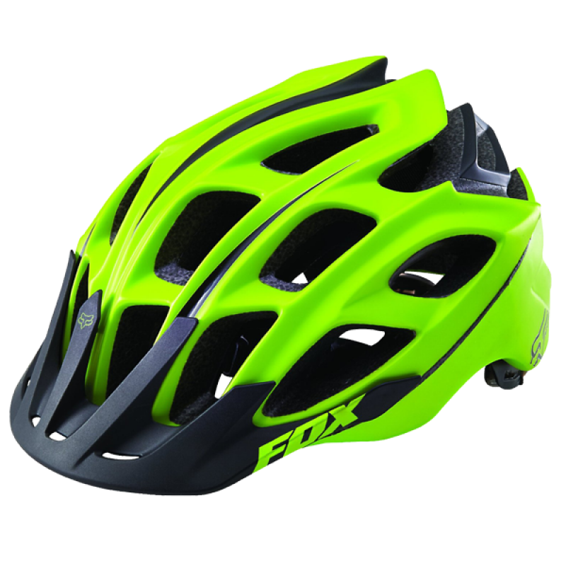 Aliquam dolor tellus